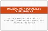 Urgencias neonatales quirurgicas