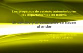 Los proyectos de estatutos autonómicos en los departamentos de Bolivia