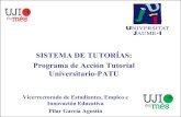 Seminario acogida - Buenas prácticas Pilar García (UJI) - Sistema de tutorías