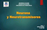 Tarea 9 Neurona y Neurotrasmisores
