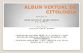 Albun virtual de citologia (curso genética) 201105 grupo_35 - 2