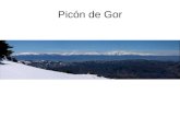 PicóN De Gor1