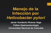 Infección Por Helicobacter pylori