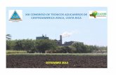 Seminário stab 2013   agrícola - 03. congresso atacori - costa rica - setembro 2013
