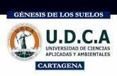 2. GENESIS DE LOS SUELOS UDCA-CARTAGENA- J.CASTILLO-MARTELO-ORELLANO