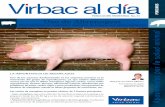 Sincronización de Celo en Porcino (Altrenogest)
