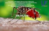 Estudos epidemiológicos sobre a dengue