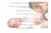 Guia de estimulacion infantil de 3 meses a 1 año
