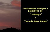 Acto de presentación del proyecto de recuperación forestal de los Cerros de la Atalaya y Santa Brígida