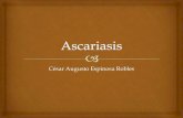 6.2 ascariasis lumbricoide