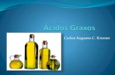 Tipos de ácidos graxos