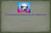 CONCEPTOS BASICOS DE INTERNET ARMI Y PAU