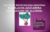 Presentacion Proyecto De Remolacha 2