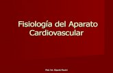 Fisiología del aparato cardiovascular