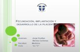 Fecundación, implantación y desarrollo de la placenta