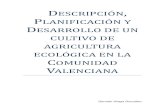 Descripcion planificacion y desarrollo de un cultivo de agricultura ecolgica en la Comunidad Valenciana