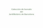 Colección de bonsáis del Jardín Botánico de Barcelona