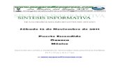 Sintesis informativa 19 11 2011