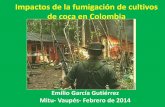 Impactos de la fumigación de cultivos de coca
