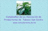 CumpleañOs De La AsociacióN De Productores De Tabaco San Isidro en Canca la Reina