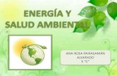 Energia y salud ambiental