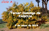 DOMINGO TERCERO DE PASCUA. CICLO A. DIA 4 DE MAYO DEL 2014. PPS