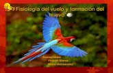 Fisiología del vuelo y formación del huevo de las aves