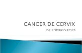 1.Cancer De Cervix
