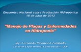 Manejo de plagas y enfermedades en hidroponía ucr eeafbm (fr)
