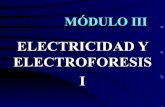 Electricidad y electroforesis I