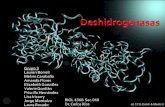 Deshidrogenasas ppt