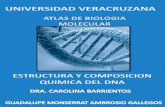 Atlas de biologia molecular Guadalupe Monserrat Ambrosio Gallegos