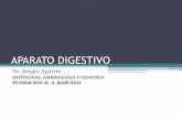 Aparato digestivo (histología - Dr. Aguirre)