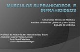 Musculos Suprahioides e Infrahioides