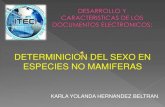 DETERMINACION DEL SEXO EN ESPECIES NO MAMIFERAS