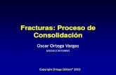 Proceso de consolidacion -  Oscar Ortega