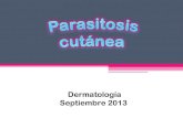Parasitosis cutanea