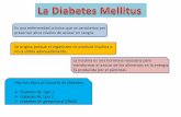 Diabetes Mellitus tipo 1, 2, 3