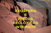 Proc. GeolóGicos Internos