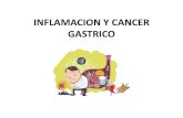 Presentacion Inflamacion y Cancer Gastrico