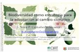 Castaneda2014 biodiversidad como estrategia para la adaptación al cambio