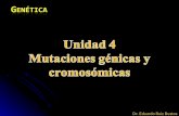 Unidad04 mutaciongenicay cromosomica