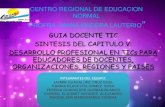 Cap v tic. desarrollo profesional en tics para educadores de docentes, organizaciones, regiones y paises33
