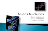 Acidos nucleicos[1]