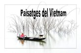 Vietnam paisatges
