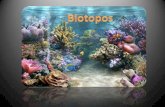 Biotopos finl