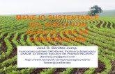 Manejo sustentable de suelos con agricultura de conservación