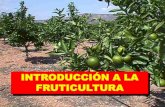 Unidad iii introducción a fruticultura