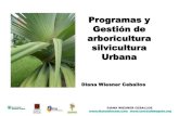 Programa y gestión de arboricultura urbana