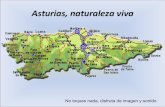 Asturias,Naturaleza viva
